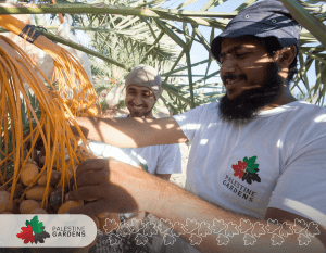 Palestine Gardens Farms